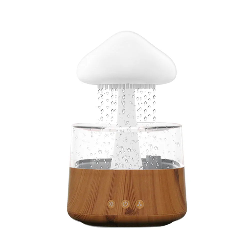 Rain Mist Humidifier